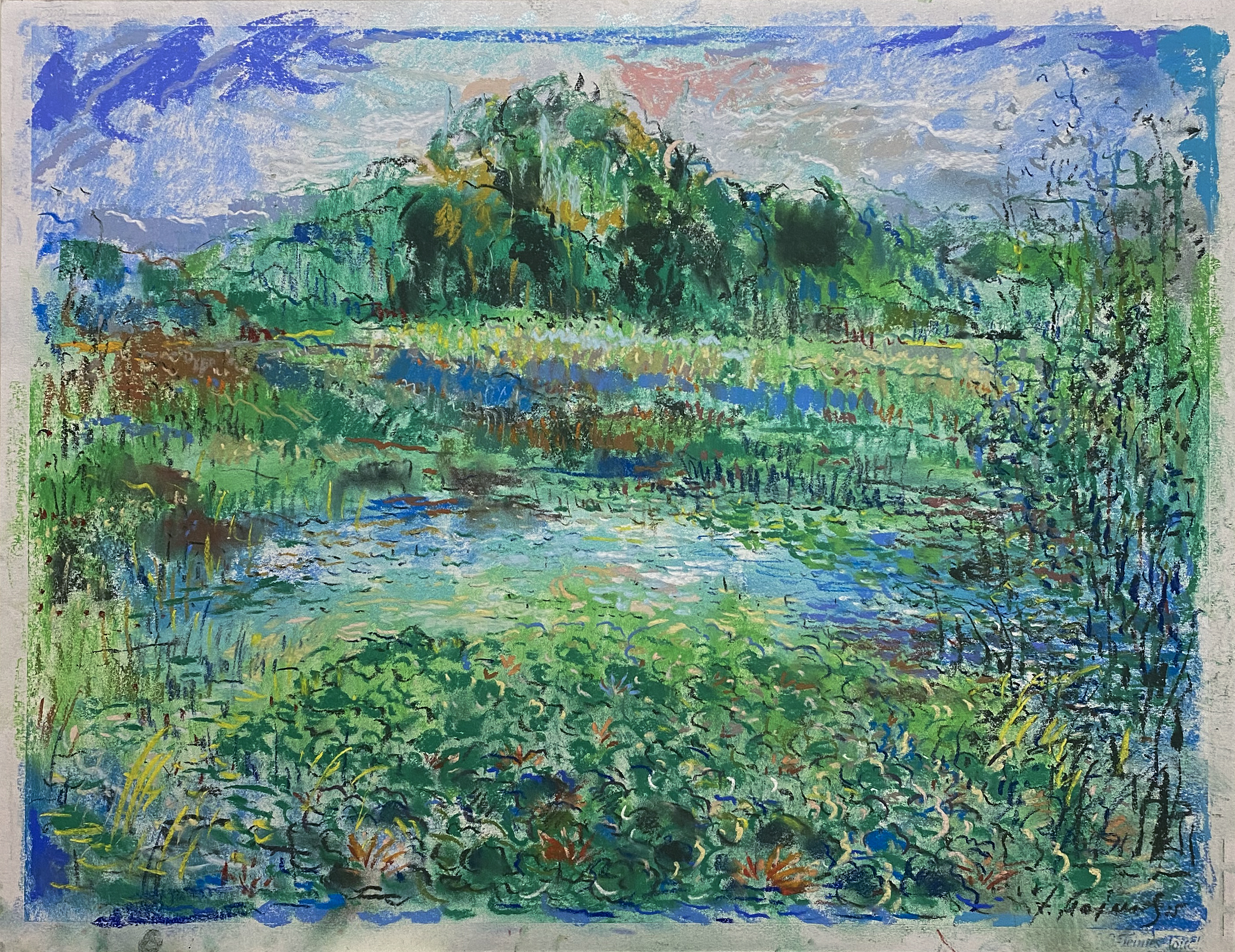 ŽALIA DIENA PRIE TVENKINIO. ŽEMAITIJA (2)