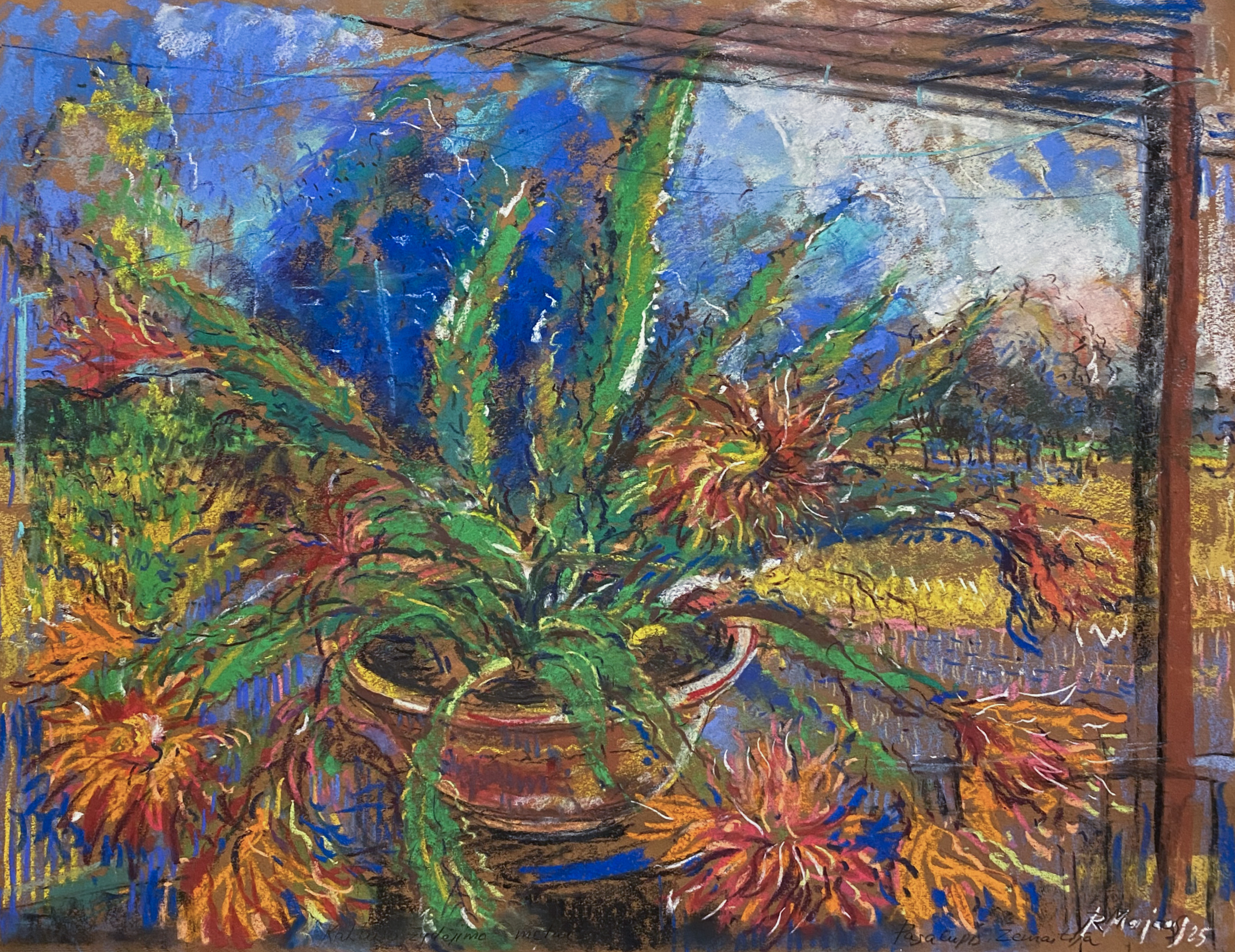 PASALUPIO KAKTUSAS PRAŽYDO. ŽEMAITIJA