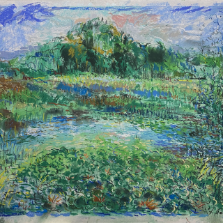 ŽALIA DIENA PRIE TVENKINIO. ŽEMAITIJA (2)