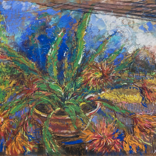 PASALUPIO KAKTUSAS PRAŽYDO. ŽEMAITIJA